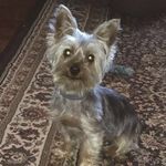 Profile Picture of Trudy Louise Walker (@trudy._.walker) on Instagram