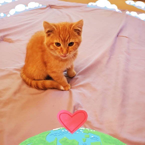 Profile Picture of Marcela Manzano (@marcela_manzano) on Poshmark