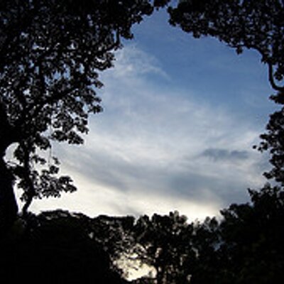 Profile Picture of Robert Sailer (@RobertSailer) on Twitter
