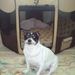 Profile Picture of Maggie Roundtree (@maggie920) on Pinterest