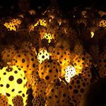 Randy Huang - Instagram Profile Picture of Randy Huang (@randy_h_1223) on Instagram