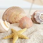 Profile Picture of Lisa Wyatt (@lisa.wyatt.50596) on Instagram