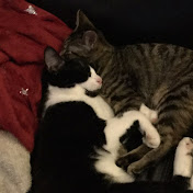 Profile Picture of John Newbury (@johnnewbury1734) on Youtube