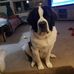 Profile Picture of Kevin Hess (@kevin.hess.980) on Facebook