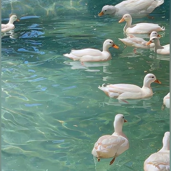 Profile Picture of Alexa Lopez (@alexa_4_9) on Poshmark