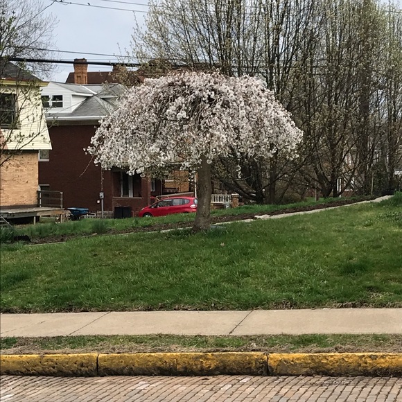 Profile Picture of Irene Eiley (@reenz181) on Poshmark