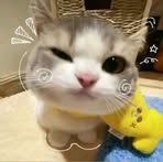 Profile Picture of Jannah Joyce Ebarle (@jannah.joyce.ebarle) on Facebook