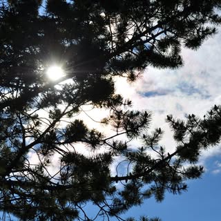 Profile Picture of robert maccormack (@robert_mac_n_chez) on Instagram