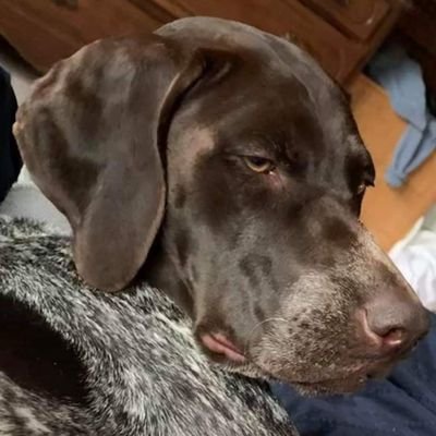 Profile Picture of Curtis Clogston (@curtisclogston) on Twitter