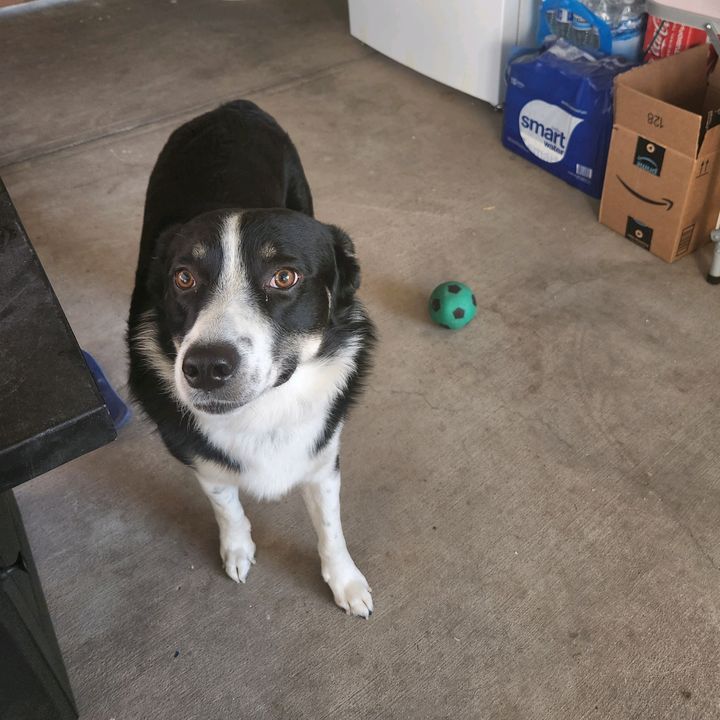 Profile Picture of Russell (@craigr002) on Tiktok