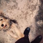 Jorge Carrero - Instagram Profile Picture of Jorge Carrero (@ljorge_luis) on Instagram