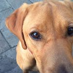 Profile Picture of Nigel Clifford (@nigel.clifford.75) on Instagram