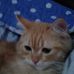 Profile Picture of Adam Matar (@adam.matar.9843) on Facebook