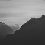 Profile Picture of Cody Phan (@sensitivecody) on Instagram