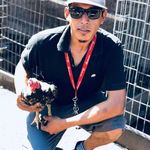 Profile Picture of Luis E. Tarula Guzman (@luise.tarula) on Instagram