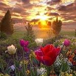 Profile Picture of JerryHuggins (@jerryhuggins20) on Instagram