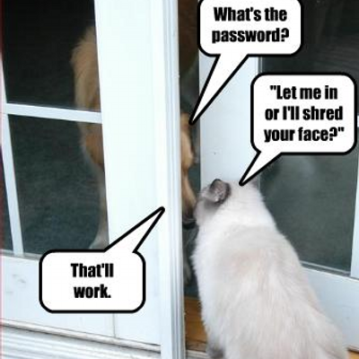 Profile Picture of Bobby Dube (@demonicspartan) on Twitter