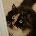 Profile Picture of Jim Curtis Sr. (@curtissr.jim) on Instagram