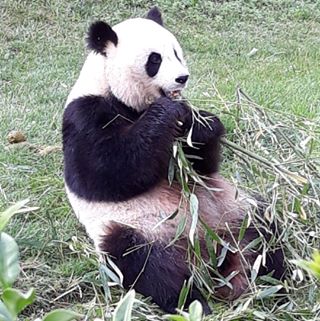 Profile Picture of Paul Friant (@paul.friant.5) on Facebook