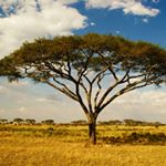 Matthew lewin - Instagram Profile Picture of Matthew lewin (@matthew_lewin.pictures) on Instagram