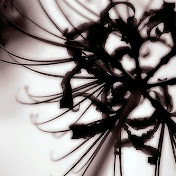 Profile Picture of Chieh Wu (@LethalRedeemer) on Youtube