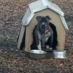 Profile Picture of Jerry Bowens (@jerry.bowens.52) on Instagram