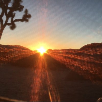 Profile Picture of Barbara Parrish (@MaxMillionTR) on Twitter