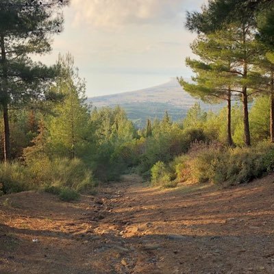 Profile Picture of John McLeod (@saurimo44) on Twitter