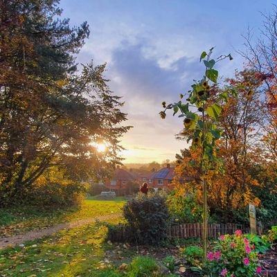 Profile Picture of Bulwell Forest Garde (@bulwellforestga) on Twitter