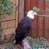 Profile Picture of Stephen Swain (@@stephenswain1) on Tiktok