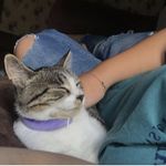 Profile Picture of Summer Alberts (@gaelaigmilitsa) on Instagram