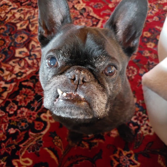 Profile Picture of Wendy Pallazola (@wendypalla) on Poshmark