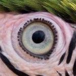 Profile Picture of William Ginn (@willginn1) on Instagram