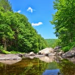 Profile Picture of Paul Guyette (@paul.guyette.102602) on Facebook