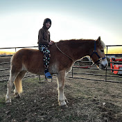 Nolan Phillips - Youtube Profile Picture of Nolan Phillips (@Angusandme4773) on Youtube