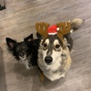 Profile Picture of Kerry Mcgregor (@@kerrymcgregor) on Tiktok