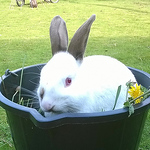 Profile Picture of Jade Edwards (@shamazingjade) on Flickr