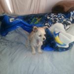 Profile Picture of Rosa verdin (@rosa.verdin) on Instagram