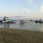 Joanne Zhang - Instagram Profile Picture of Joanne Zhang (@joanne_zhang98) on Instagram