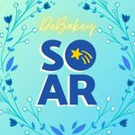 Profile Picture of DeBakey HSHP SOAR Club (@debakeysoar) on Instagram