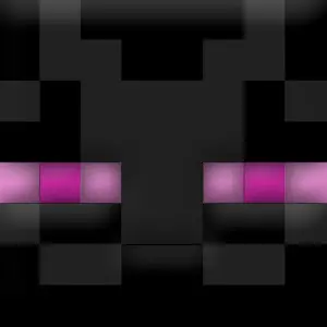 Profile Picture of ENDERMAN786 (@enderman786) on Tiktok