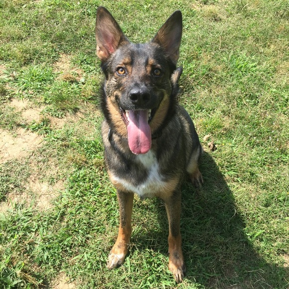 Profile Picture of Jonathan Graham (@jmgraham6) on Poshmark