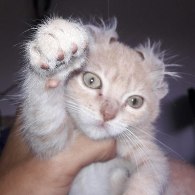 Profile Picture of JonathanDry (@JonathanDry3) on Twitter