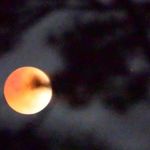 richard_iannuzzi - Instagram Profile Picture of richard_iannuzzi (@richard_iannuzzi) on Instagram