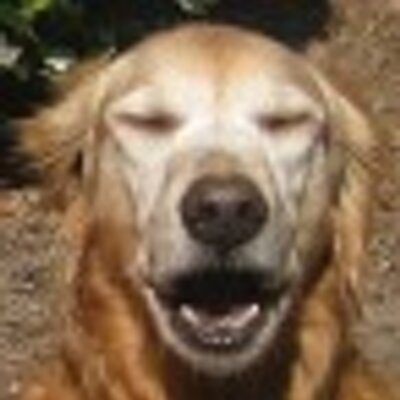 Profile Picture of Scott McDuffee (@scottmcduffee) on Twitter