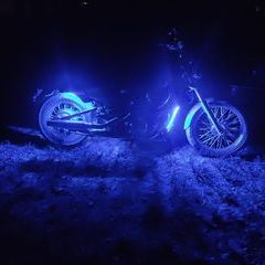 Profile Picture of David Hartzog (@davidhartzog51) on Tiktok