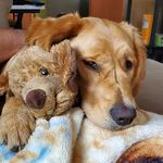 Profile Picture of ChefJason Hallberg (@chefjasonhallberg) on Instagram