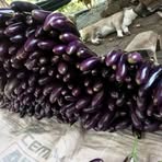 Profile Picture of Richard Ritaga (@Richard-Ritaga) on Facebook