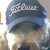 Profile Picture of Jeff Craine (@@user142031022697) on Tiktok