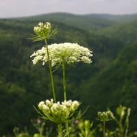 Profile Picture of Jake Liz Beiler (@jake-liz-beiler) on Quora